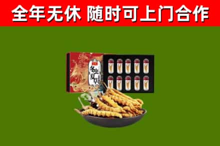 前锋回收冬虫夏草价格